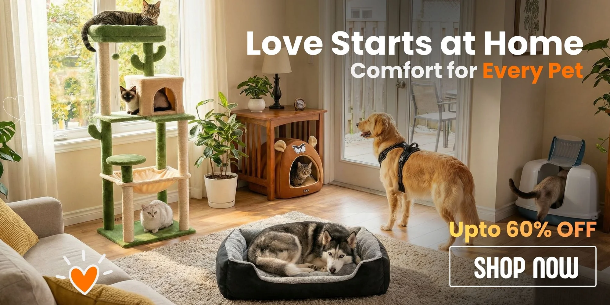 Style Your Pet with Ease