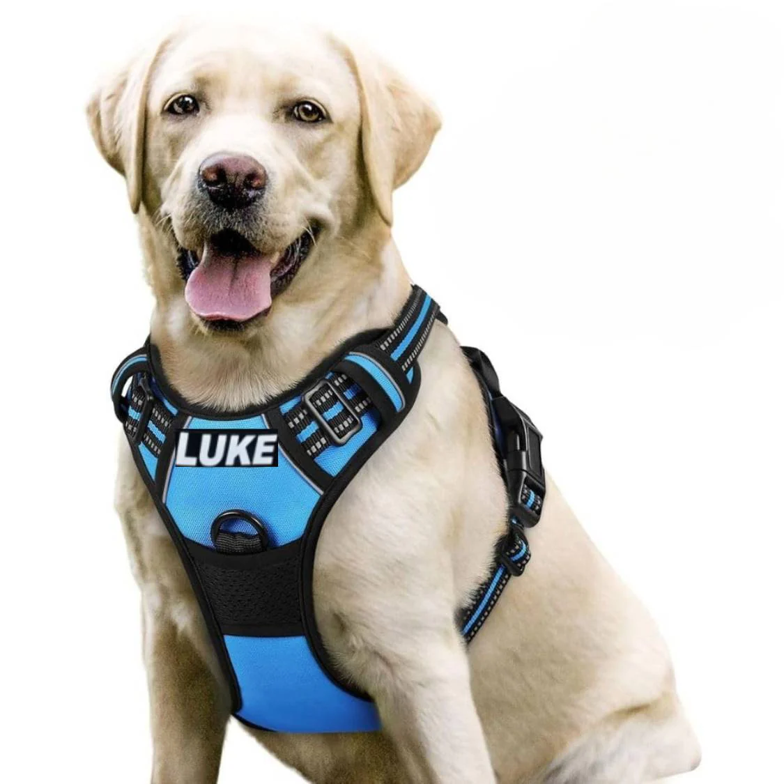 Dog Harness