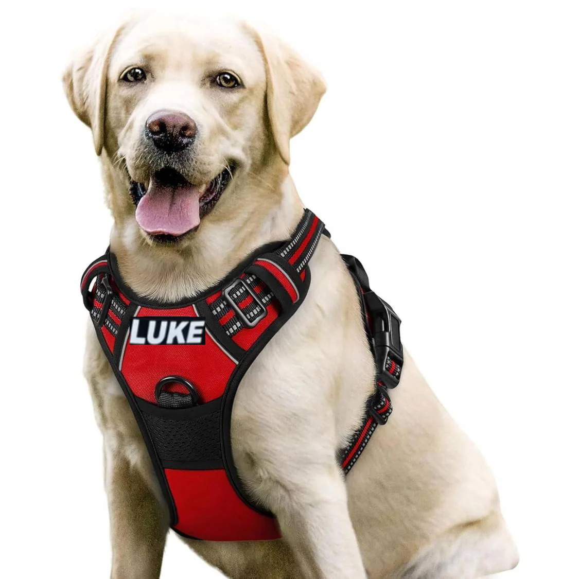 Dog Harness With Name